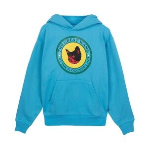 Tyler The Creator 2023 Blue Hoodie with Graphic Print